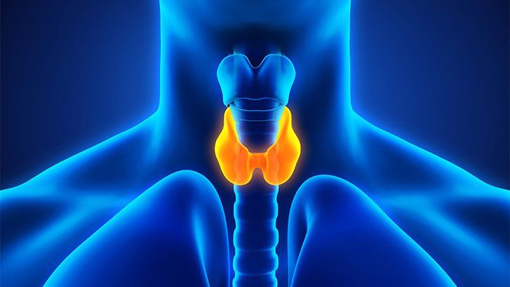 Are You Confused About Your Thyroid? How Functional Medicine Doctors can Help