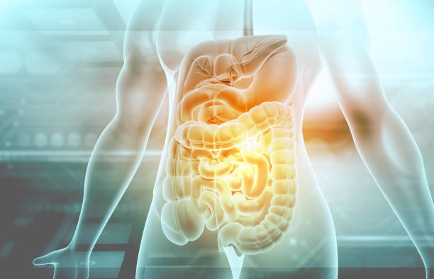 Functional Medicine 101: A Holistic Approach to Digestive Health